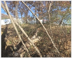  2024Ÿ��54056 ��� ������ ������ �¸� 209-41      ����(�Ӿ�)���