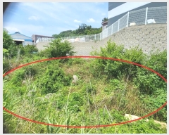  2024Ÿ��3089 ��� ������ ����� �뺮�� 233      ����(��1)���