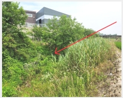  2024Ÿ��3089 ��� ������ ����� �뺮�� 233      ����(��1)���