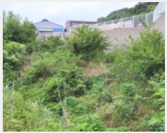  2024Ÿ��3089 ��� ������ ����� �뺮�� 233      ����(��1)���