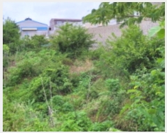  2024Ÿ��3089 ��� ������ ����� �뺮�� 233      ����(��1)���