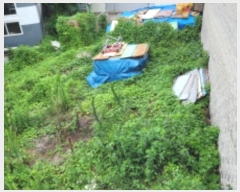  2024Ÿ��3089 ��� ������ ����� �뺮�� 233      ����(��1)���