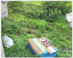  2024Ÿ��3089 ��� ������ ����� �뺮�� 233      ����(��1)���