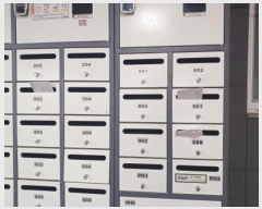  2024Ÿ45922  õ һ籸 η412 21, 9 901ȣ (һ纻, Ʈ)  Ʈ