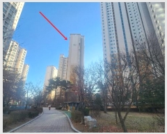  2024Ÿ56069   Ѱ8 173-58, 211 104ȣ (굿, ︶泲Ƴʽ)   Ʈ