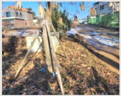  2024Ÿ56502   ϼ  543-10      ()