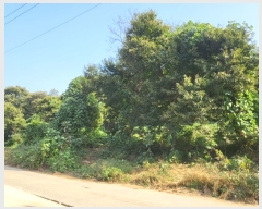  2024Ÿ5467     193-4      (Ӿ)