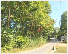  2024Ÿ5467     193-4      (Ӿ)