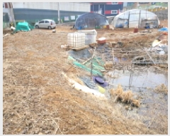  2024Ÿ��7029 ��� ������ ����� �뺮�� 218-2      ����(��)���