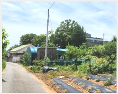  2024Ÿ��41272  �������