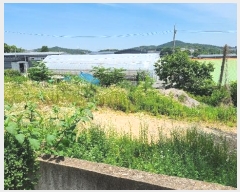  2024Ÿ��41272  �������