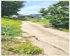  2024Ÿ��41272  �������