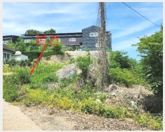  2024Ÿ��41272  �������