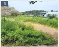  2024Ÿ��41272  �������