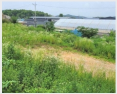  2024Ÿ��41272  �������