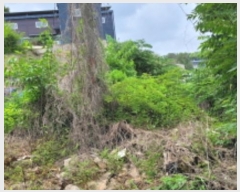  2024Ÿ��41272  �������