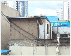  2024Ÿ43230  õ ̱ ɰ 175-26      ٸü,󰡰