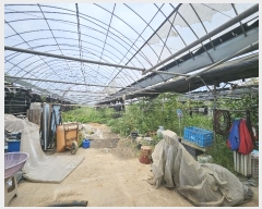  2024Ÿ47799    319 77-87 (1)     ,â