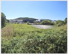  2024Ÿ48471    긮 71-2      ()