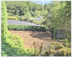  2024Ÿ48471    긮 71-2      ()