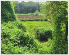  2024Ÿ48471    긮 71-2      ()