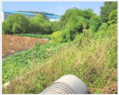  2024Ÿ48471    긮 71-2      ()