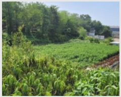  2024Ÿ48471    긮 71-2      ()