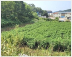  2024Ÿ48471    긮 71-2      ()