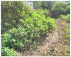  2024Ÿ48471    긮 71-2      ()