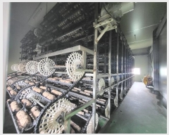  2024Ÿ49283     315-16      