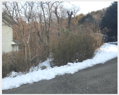  2024Ÿ��57079 ��� ������ ������ �밭�� 315-106      ����(����)���