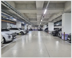  2024Ÿ3775  õ һ籸  229, 1139ȣ (浿,ƼŸ)    ,繫ǰ