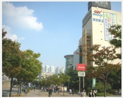  2024Ÿ��5481  �ٸ��󰡰��