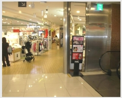  2024Ÿ��5481  �ٸ��󰡰��