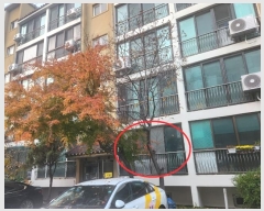  2024Ÿ5993  õ  64 25-6,  1106ȣ (,Ʈ)   Ʈ