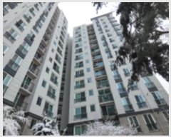  2024Ÿ6026    Ű 48, 507 7701ȣ (޸ӾƮ)   Ʈ