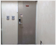  2024Ÿ��46499  �ټ���(����)���