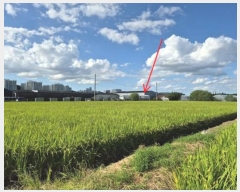  2024Ÿ��47867 ��� ������ ������ �Ű 721-4      ���(�󰡽ü�)���