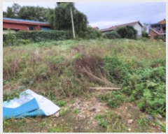  2024Ÿ49504     325      (1)