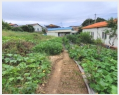  2024Ÿ49504     325      (1)