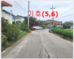  2024Ÿ49504     325      (1)