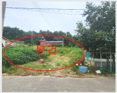  2024Ÿ49504     325      (1)