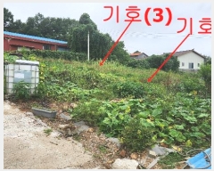  2024Ÿ49504     325      (1)