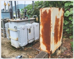  2024Ÿ49504     325      (1)