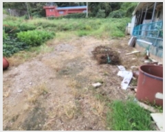  2024Ÿ49504     325      (1)