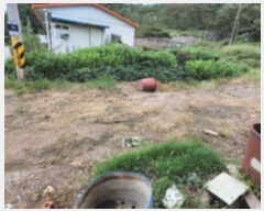  2024Ÿ49504     325      (1)