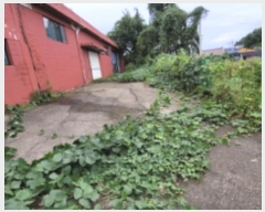  2024Ÿ��49504 ��� ������ ������ ������ 323      ������