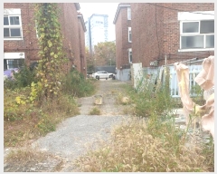  2024Ÿ��49818 ��� ������ ������ �Ű 469-2      ����(����)���