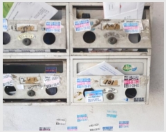  2024Ÿ50412  õ   30, 1 101ȣ (, ũ5)  ټ,