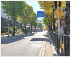  2024Ÿ��52746 ��� ��õ�� �һ籸 �һ��177���� 55, 9�� 901ȣ (�һ纻��, �̲���)  ����Ʈ���